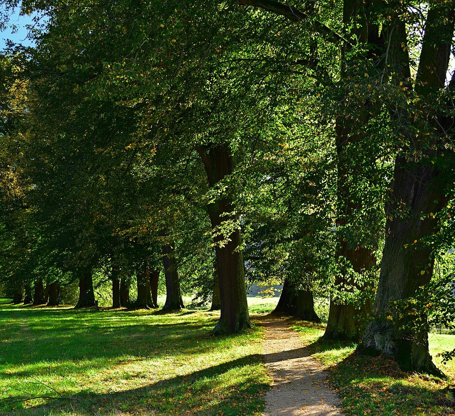 park-4528393_1280